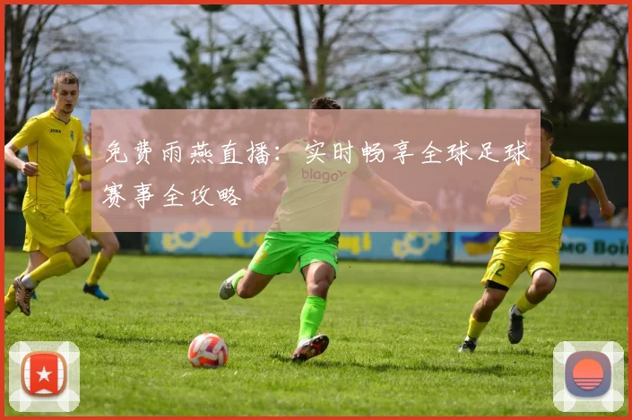 免费雨燕直播：实时畅享全球足球赛事全攻略