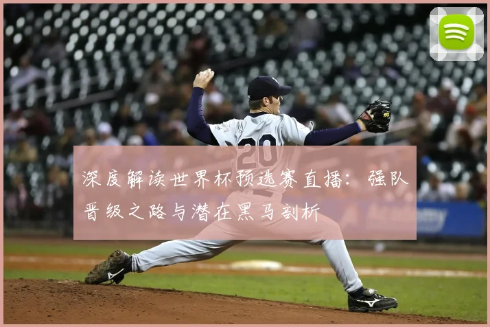 深度解读世界杯预选赛直播：强队晋级之路与潜在黑马剖析
