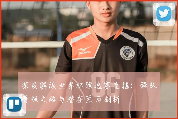 深度解读世界杯预选赛直播：强队晋级之路与潜在黑马剖析