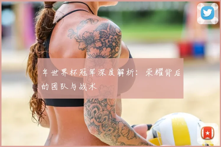 年世界杯冠军深度解析：荣耀背后的团队与战术
