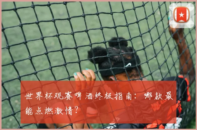 世界杯观赛啤酒终极指南：哪款最能点燃激情？