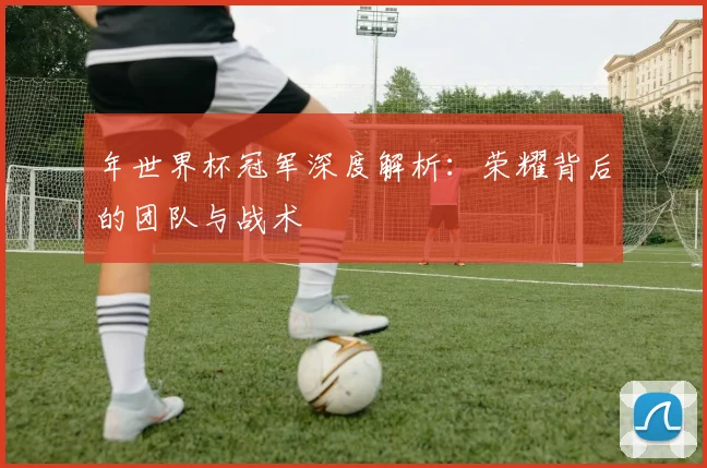 年世界杯冠军深度解析：荣耀背后的团队与战术