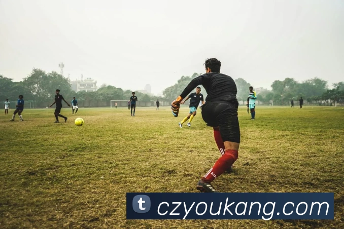 熬夜看球成常态？解析世界杯赛事对球迷作息的影响